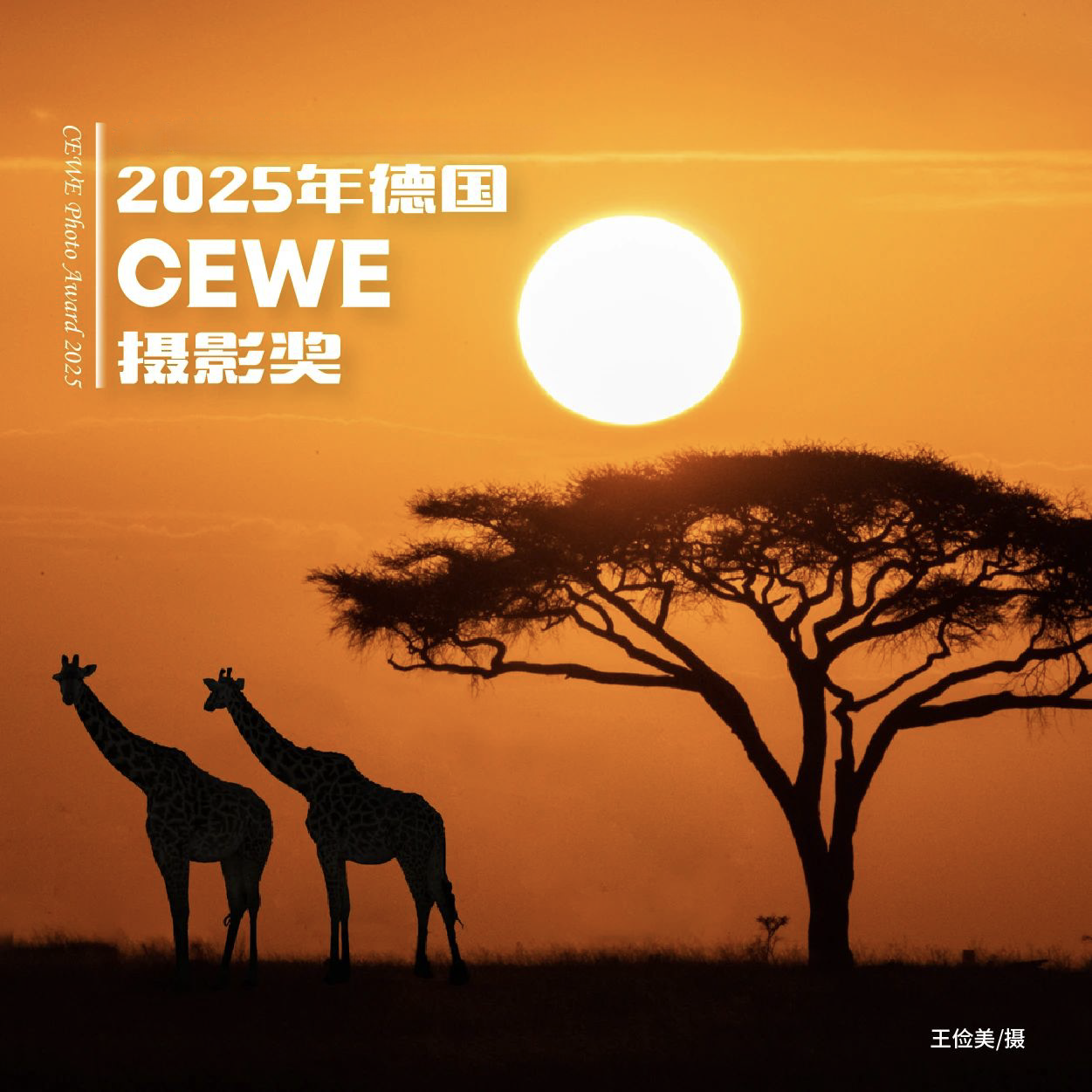 微信图片_20250320154534.png