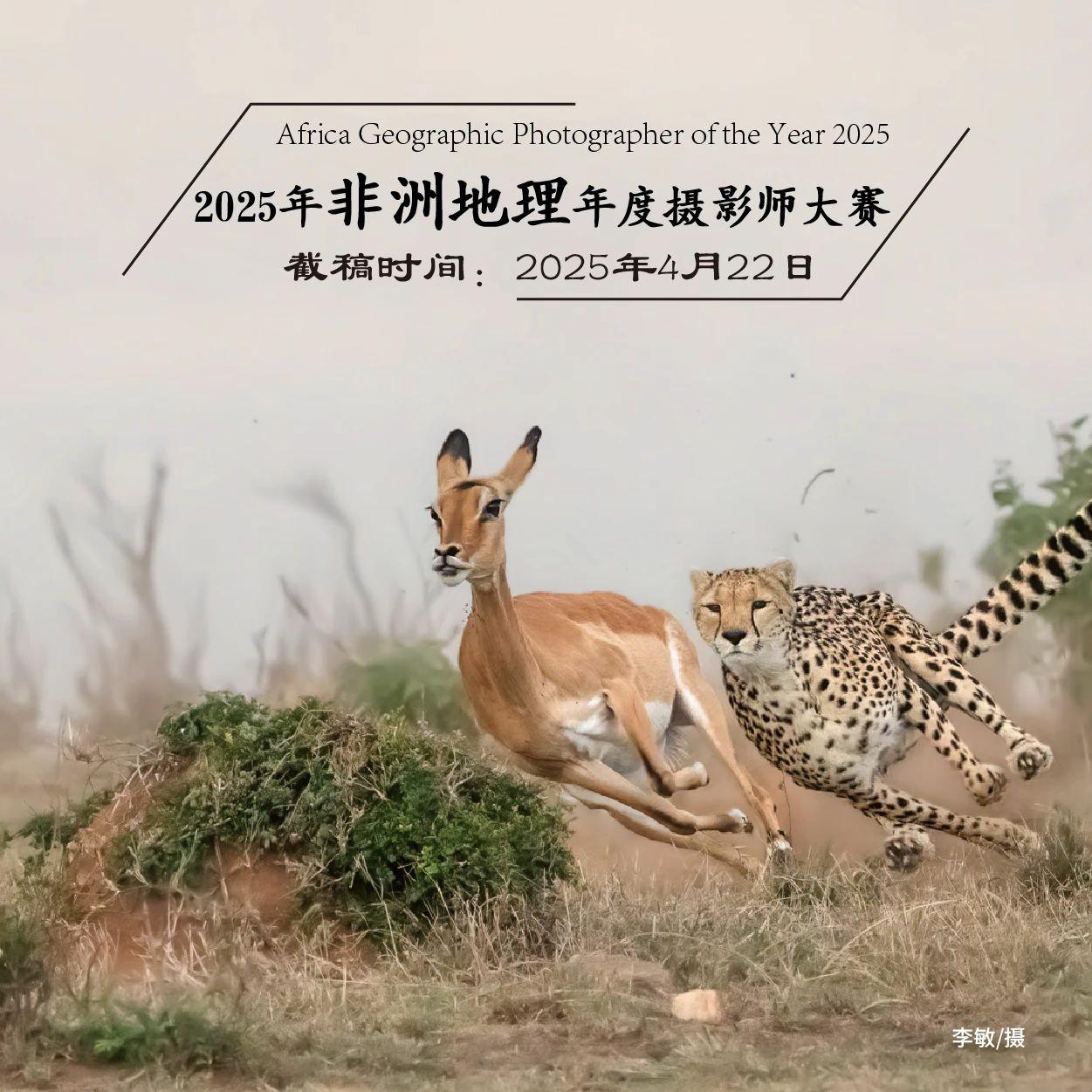 微信图片_20250320155809.png
